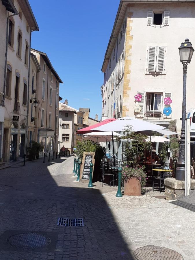 Appartement Trévoux: loft ravissant avec terrasse Extérieur photo