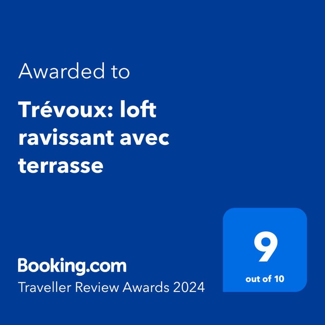 Appartement Trévoux: loft ravissant avec terrasse Extérieur photo
